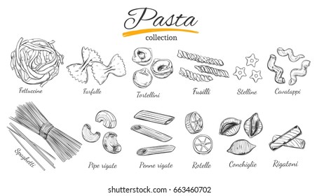 Italian Pasta set. Different types of pasta. Vector hand drawn illustration. Isolated objects on white. Sketch style