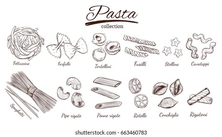 Italian Pasta set. Different types of pasta. Vector hand drawn illustration. Isolated objects on white. Sketch style