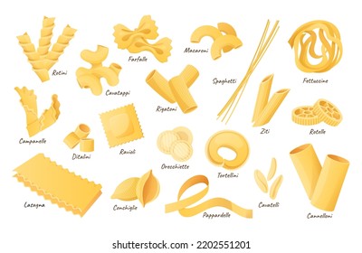 Italian pasta shapes. Fettuccine, spaghetti and lasagna. Dry cannelloni, ravioli and macaroni. Pasta ingredients cartoon vector illustration set of fettuccine and spaghetti