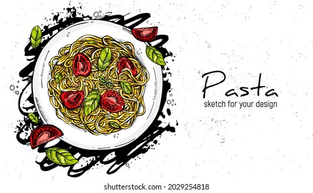 italian pasta with tomato and basil. Hand drawing sketch.