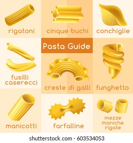 Italian Pasta Types : Vector Illustration 