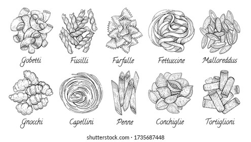 Italian Pasta. Vector food sketch icon set. Doodle macaroni illustration. Hand drawn cooking collection. Fettuccine Fusilli Gobetti 
Malloreddus Capellini Conchiglie Tortiglioni Penne Gnocchi Farfalle