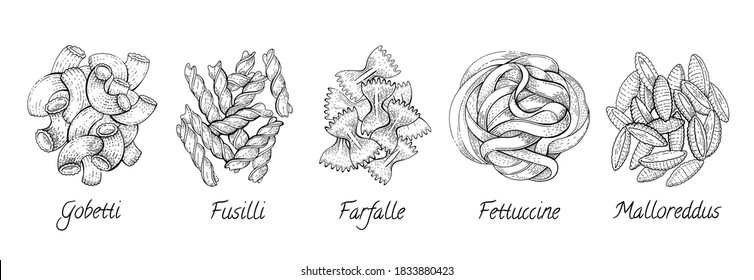 Italian Pasta. Vector food sketch icon set. Doodle macaroni illustration. Hand drawn cooking collection. Fettuccine, Fusilli, Gobetti, Malloreddus, Gnocchi, Farfalle pasta from Italy