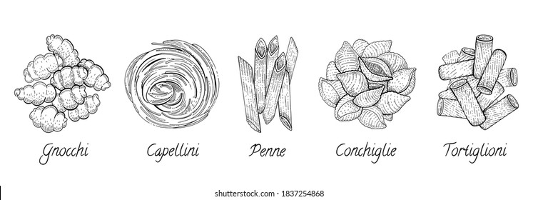 Italian Pasta. Vector food sketch icon set. Doodle macaroni illustration. Hand drawn cooking collection. Fettuccine,   
 Capellini, Conchiglie, Tortiglioni, Penne, Gnocchi pasta from Italy