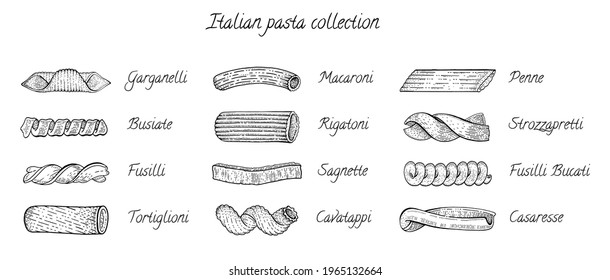 Italian Pasta. Vector food sketch icon set. Doodle macaroni illustration. Hand drawn cooking collection. Pasta Rigatoni Penne Cavatappi Fusilli Casaresse. Sketch drawing for cook menu, banner, card