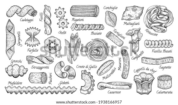 イタリアンパスタ ベクター食品のスケッチアイコンセット 落書き風マカロニイラスト 手描きの料理コレクション パスタフェッチネフジリゴベッティリガトーニカペリーニコンキリートルティリオーニペンネファルファルルフィオリ のベクター画像素材 ロイヤリティ