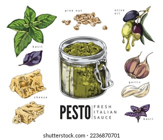 Ingredientes de comida de pesto italiano. Receta de salsa de pesto con ingredientes alimentarios, esbozar ilustración vectorial de estilo vintage aislada en fondo blanco.