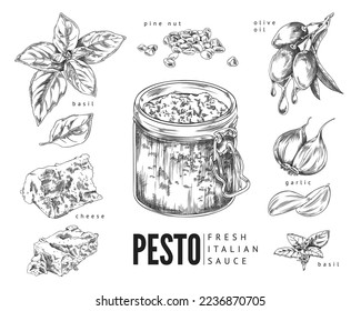 Italian pesto ingredients and fresh pesto sauce in jar, sketch vintage style vector illustration isolated on white background. Italian cuisine dish and food dressing.