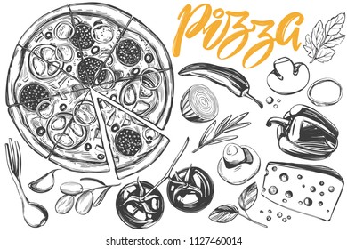 Italian pizza , collection of pizza with ingredients, logo, hand drawn vector illustration realistic sketch ,