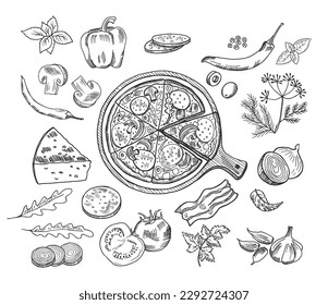 Italian pizza doodle ingredients. Pizzeria food elements sketch, tomato pepperoni cheese mushrooms sliced olives doodles vector illustrations