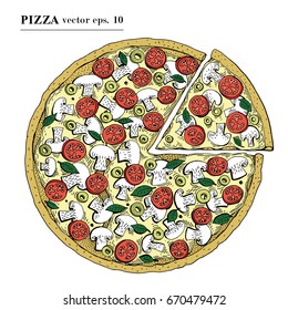 Italian Pizza hand drawn vector illustration. Can be use for pizzeria, cafe, shop, restaurant.