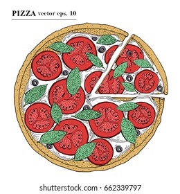 Italian Pizza margarita hand drawn vector illustration. Can be use for pizzeria, cafe, restaurant.