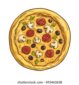 Italian pizza sketch with pepperoni sausage, black olive fruit, mushroom and basil. Pizzeria, italian cuisine restaurant, takeaway pizza box design