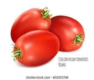 Italienische Pflaumentomaten Roma. Vektorgrafik der Tomate mit grünem Stamm.