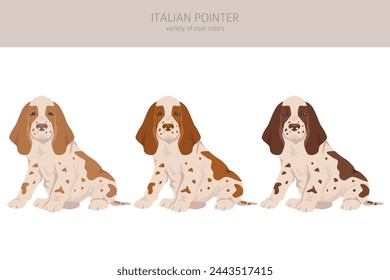 Italienischer Zeiger Welpen Clipart. Verschiedene Posen, Fellfarben gesetzt.  Vektorgrafik