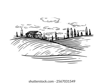  Italian Tuscan landscape with field.  line art hand drawn landscape, vintage cover, wine brand, tourism