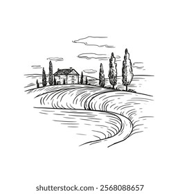  Italian Tuscan landscape with field.  line art hand drawn landscape, vintage cover, wine brand, tourism