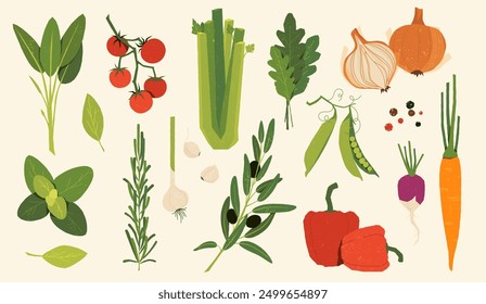 Italian vegetables. Cartoon food ingredients, hand drawn salad mix, vegan vegetarian farm kitchen. Vector isolated set. Onions, peas and bell peppers, tomatoes and carrots, garlic and beets, olives.