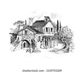 Italian villa with olive tree and cypresses and vineyards. Timber framing. Vector landscape. Ink sketch of the street. Hand drawn vintage illustration for book, emblem or print. 