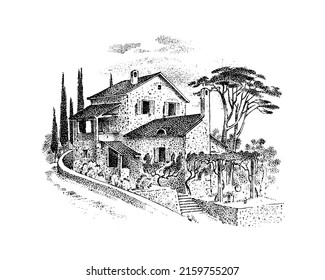 Italian villa with pine and cypress trees and vineyards. Timber framing. Vector landscape. Ink sketch of the street. Hand drawn vintage illustration for book, emblem or print. 