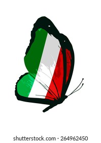 Italy flag butterfly - vector
