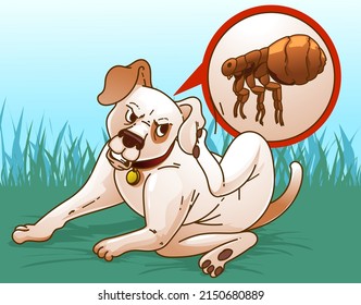 Itchy dog. Flea bites. Fleas on a dog.  Illustration of the homepet healthcare, veterinary illustration. Vector illustration.