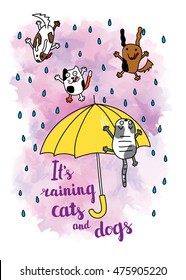 "It's raining cats and dogs" autumn card. Falling raindrops and umbrella with cats and dogs. Bright autumn postcard. Vector illustration.