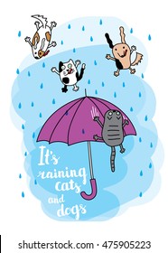 "It's raining cats and dogs" autumn card. Falling raindrops and umbrella with cats and dogs. Bright autumn postcard. Vector illustration.