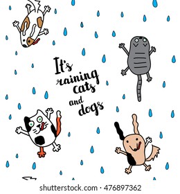 "It's raining cats and dogs" seamless pattern. Falling raindrops and umbrella with cats and dogs. Bright autumn postcard. Vector illustration.