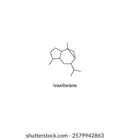 Ivaxillarane skeletal structure.Sesquiterpene compound schematic illustration. Simple diagram, chemical structure.