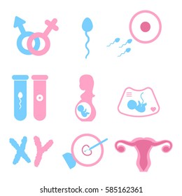 IVF (In vitro fertilisation) icons set