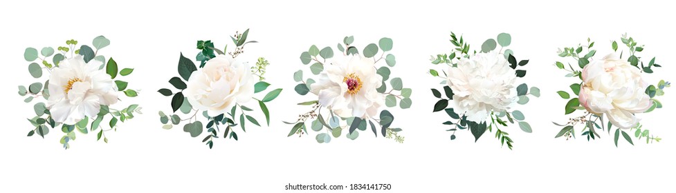 Marfil beige, rosa blanco y cremoso, flores de peonía vectorial diseño ramos de bodas. Eucalipto, vegetación. Estilo acuático pastel y florido. Tarjeta floral de primavera floreciente. Los elementos están aislados y se pueden editar