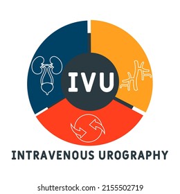 IVU intravenous urography acronym. business concept background.  vector illustration concept with keywords and icons. lettering illustration with icons for web banner, flyer, landing page
