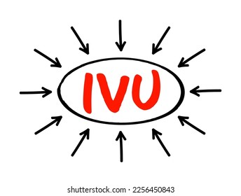 IVU intravenous urography - X-ray exam of your urinary tract, acronym text concept with arrows