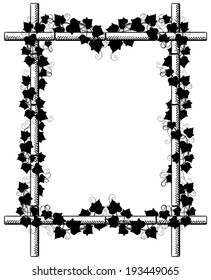 Ivy around bamboo frame. Frame with bamboo and ivy leaves. Black and white. Contrast composition for border. Isolated design element. Copy space. Vector file is EPS8, all elements are grouped.