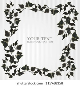 Ivy background vector illustration