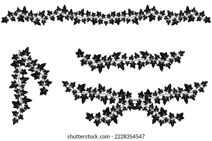 Ivy black decorative ornament frame set design black and white vector illustration