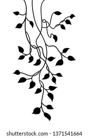 Ivy border design, black hanging vine with leaves in pretty border decoration, spring or nature vector plant design, colors are editable, isolated on white