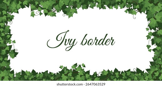 Ivy border. Plant climbing. Leaf tree, grass wall. Floral interior garden. Green jungle with architecture. Natural design. Horizontal banner template with copy space. Vector organic decorative foliage