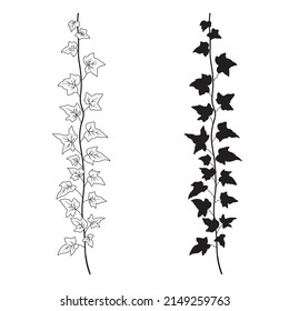 Rama de marfil y silueta. Esbozo botánico monocromo vectorial aislado sobre fondo blanco. Planta de aspersión
