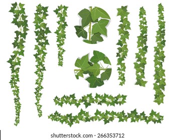 Ivy branches growing from the top downwards and upwards. This elements can be used as a Art Brush (scale proportionately) to create of any curled from. Transparent shadows - multiply blending mode.