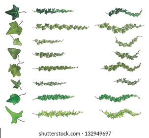 Ivy branches species collection, each with its own vein structure, in various original green tones in highlighted gradients and black outlines of 110 differently angled and separately drawn leaves.