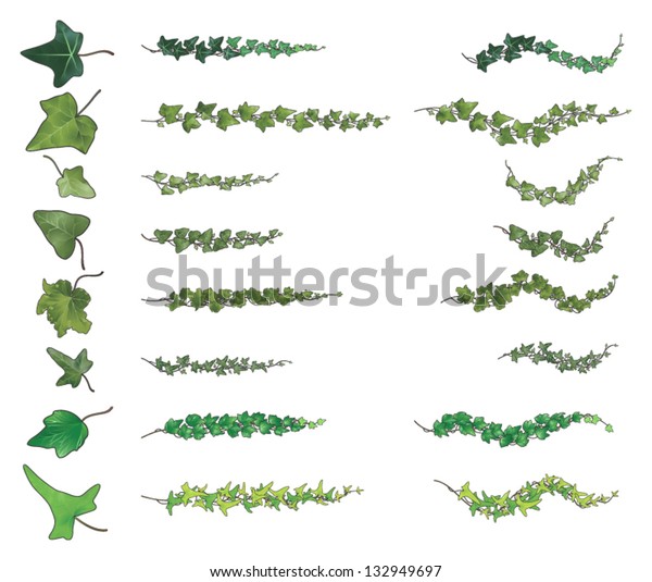 ツタ の枝の種のコレクションで それぞれが独自の静脈構造を持ち 110個の異なる角度と別々に描かれた葉の ハイライトされたグラデーションと黒い輪郭で さまざまな元の緑の色調を取り込みます のベクター画像 素材 ロイヤリティフリー