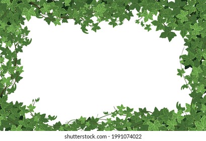 Ivy climbing plant frame composition with rectangular illustration and empty space surrounded by branches and leaves vector illustration