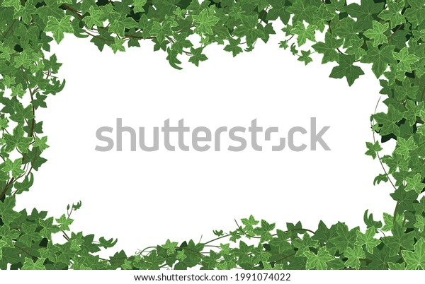 Ivy Climbing Plant Frame Composition Rectangular Stock Vector (royalty 