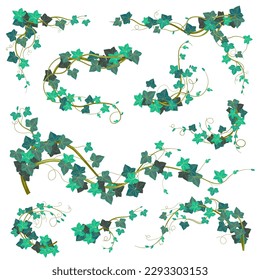 ivy climbing plant, isolated leaves and foliage, branches and twigs, stems of wildflower. Forest or garden natural design. Seamless pattern, wallpaper print or background. Vector in flat style