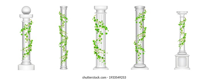 Ivy columns, antique pillars with green climbing liana plant leaves isolated on white background. Ancient classic stone roman or greek architecture for interior facade design, Realistic 3d vector set