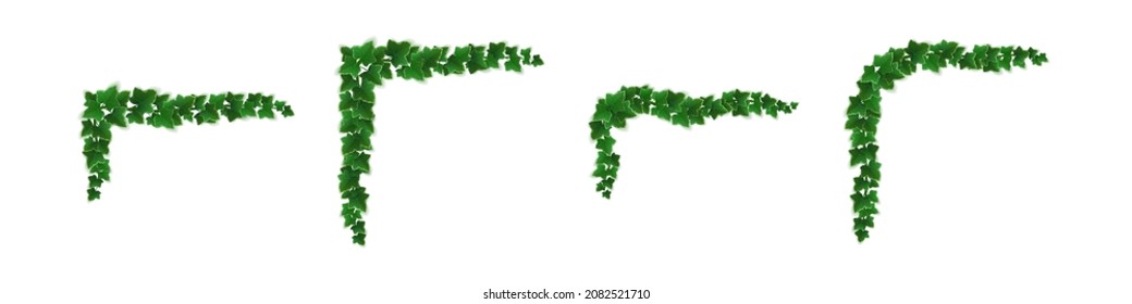 Ivy corners, climbing vine with green leaves of creeper plant for border or frame decoration. Hedera branch hanging on garden wall, isolated on white background. Realistic 3d vector illustration, set