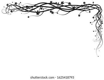 ivy creeper on a white background ornament. vector