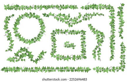 Ivy creepers. Climbing leaves vines on wall balcony hanging creeper, long vine plant wreath garland green leaf corner flora border garden liana ivies ingenious vector illustration of ivy wall plant